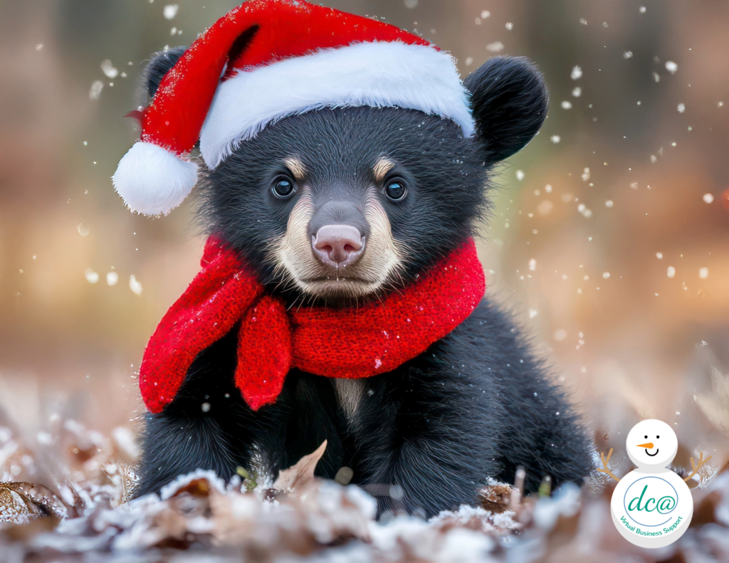 DCA Virtual Business Support